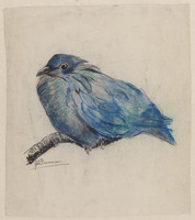 KT 1985 022
          <br/>
          Blauwe exotische vogel
          <br/>
          <em>Pieneman, Johanna Hendrika (1889-1986)</em>